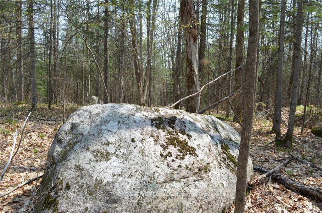 Photo 8 of LT 20 Con 3, Powassan — HOMEH
