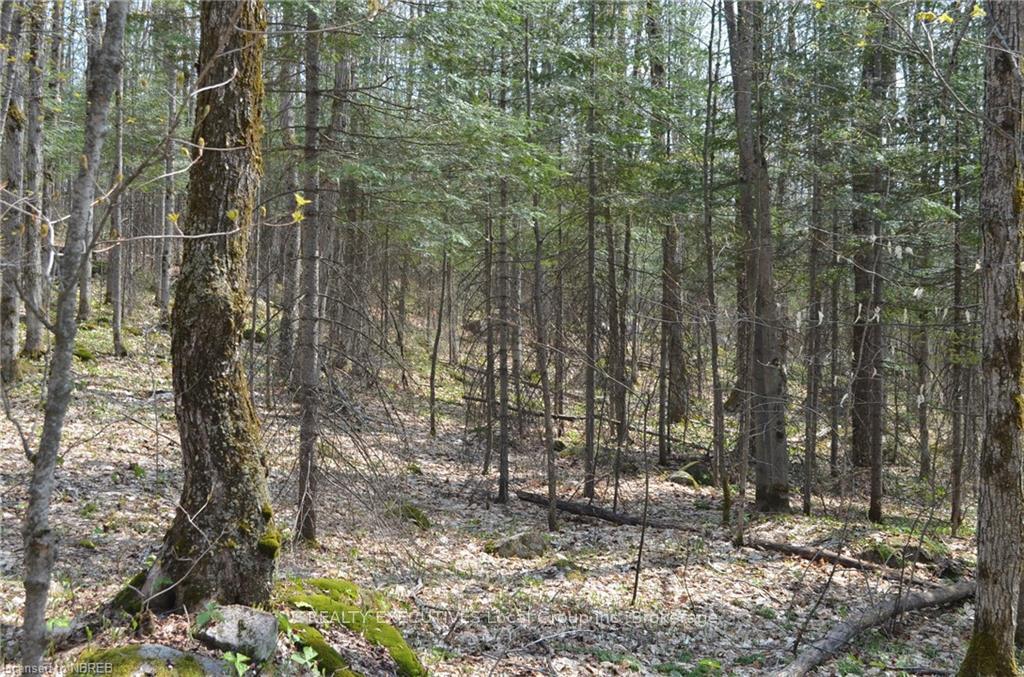 Photo 9 of LT 20 Con 3, Powassan — HOMEH