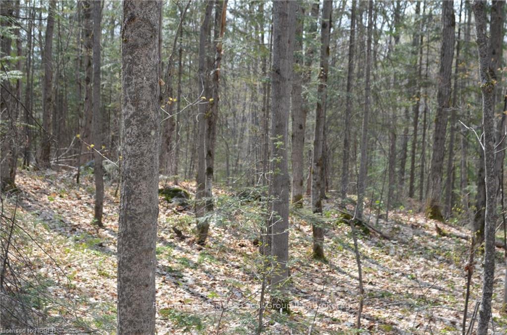 Photo 10 of LT 20 Con 3, Powassan — HOMEH