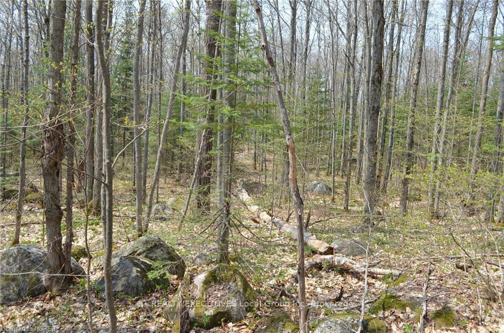 Photo 11 of LT 20 Con 3, Powassan — HOMEH