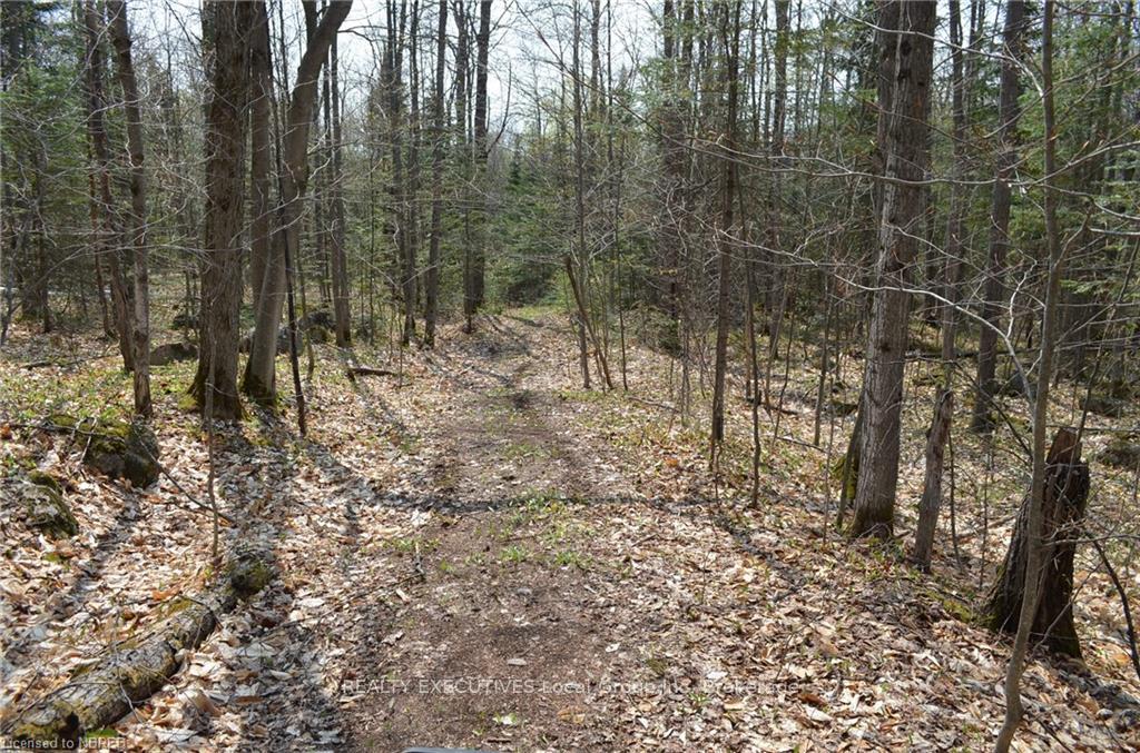 Photo 12 of LT 20 Con 3, Powassan — HOMEH