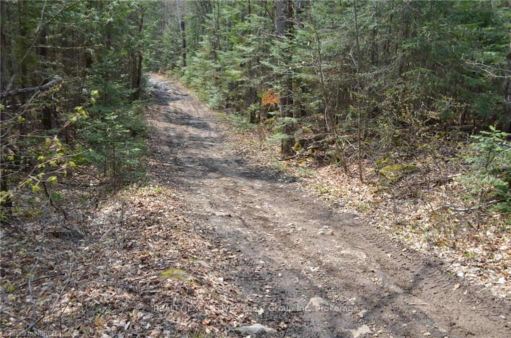 Photo 13 of LT 20 Con 3, Powassan — HOMEH