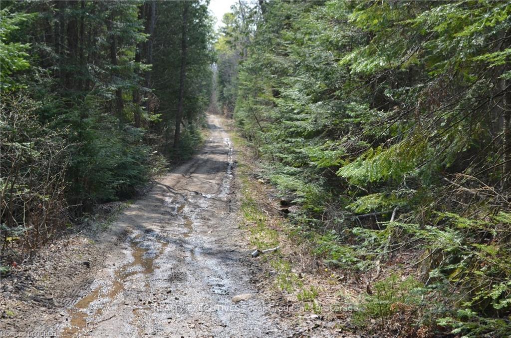 Photo 15 of LT 20 Con 3, Powassan — HOMEH
