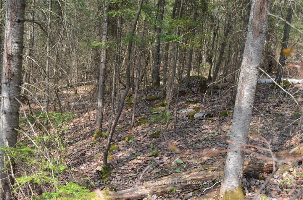 Photo 16 of LT 20 Con 3, Powassan — HOMEH