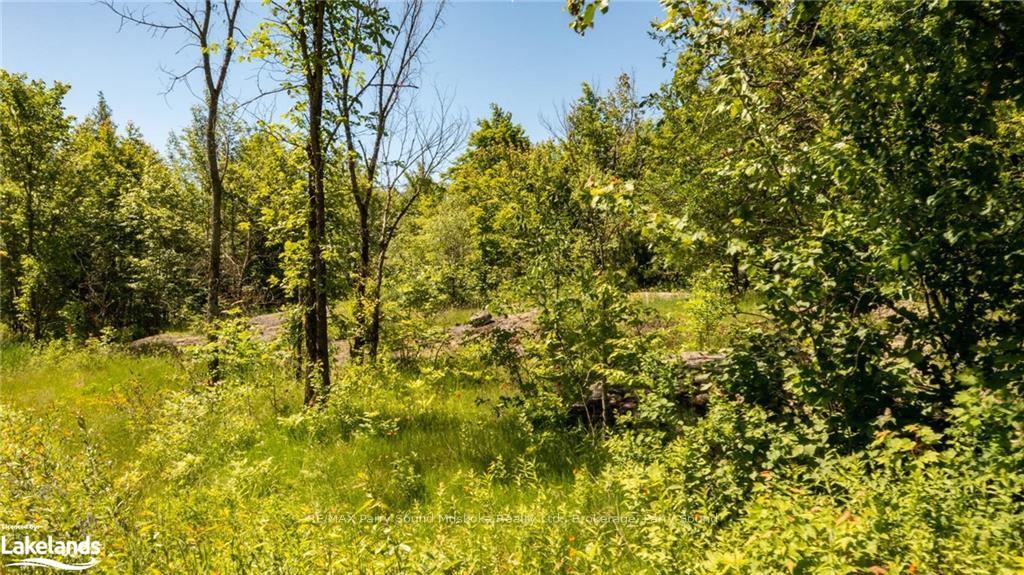 Photo 2 of 384 Mcdougall Road, McDougall — HOMEH