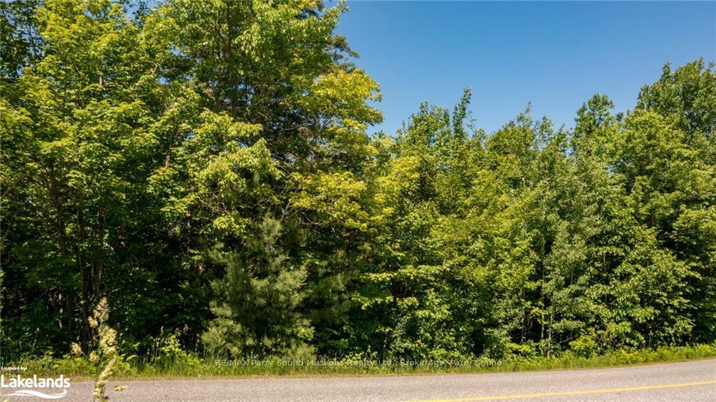 Photo 3 of 384 Mcdougall Road, McDougall — HOMEH