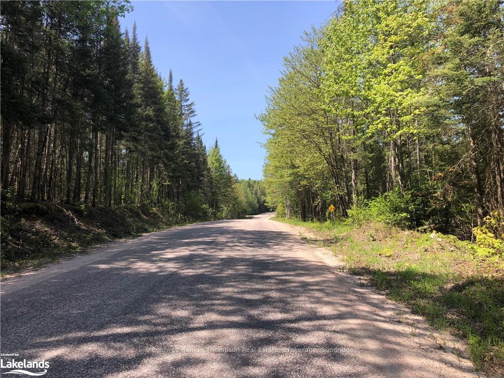 Photo 4 of Machar Strong Boundary Road, Machar — HOMEH