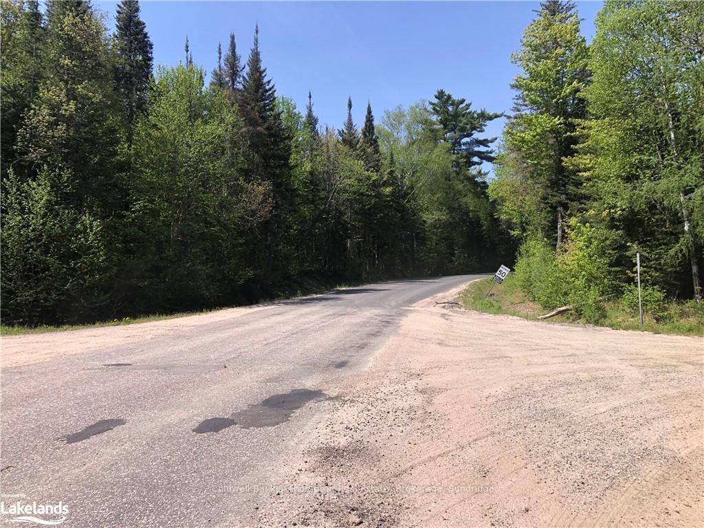 Photo 6 of Machar Strong Boundary Road, Machar — HOMEH