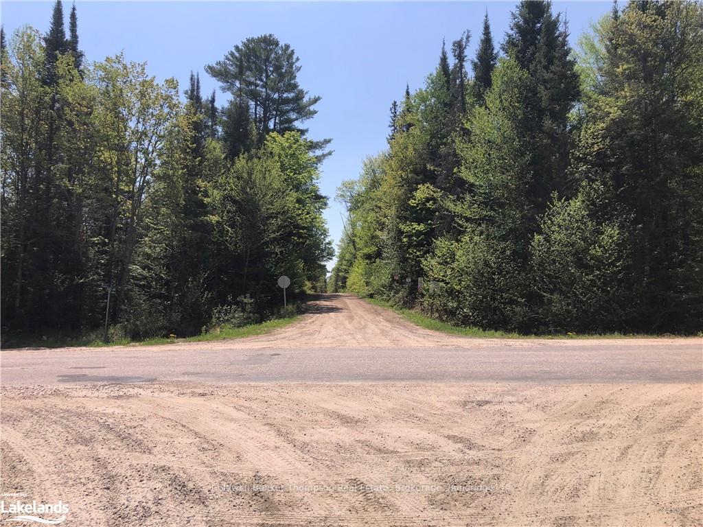 Photo 9 of Machar Strong Boundary Road, Machar — HOMEH