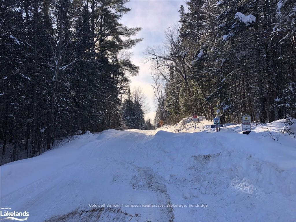 Photo 10 of Machar Strong Boundary Road, Machar — HOMEH