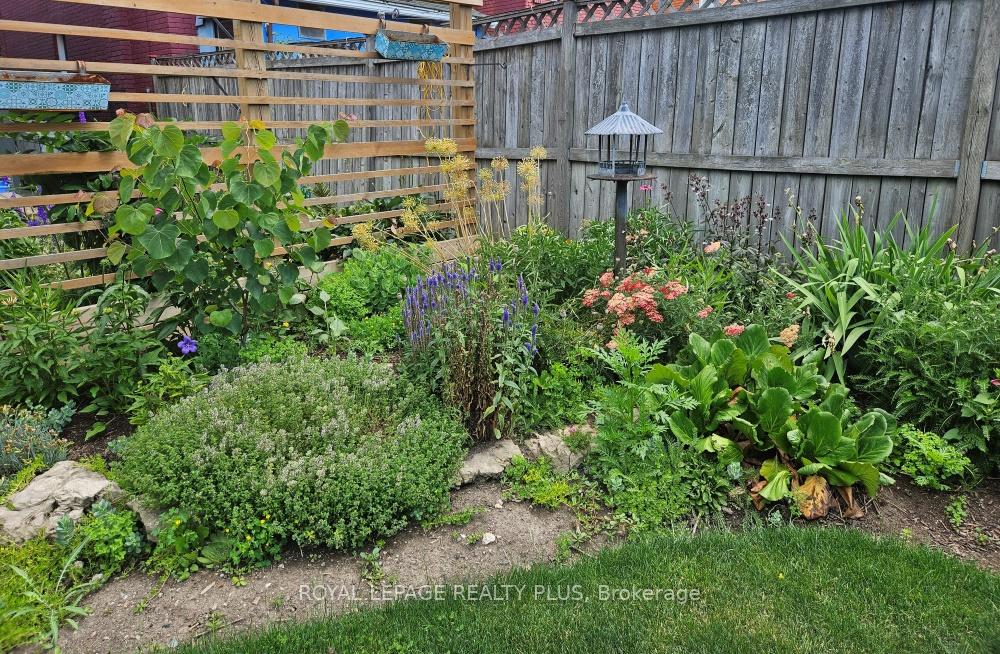 Photo 35 of 16 Case Street, Hamilton, Stipley — HOMEH