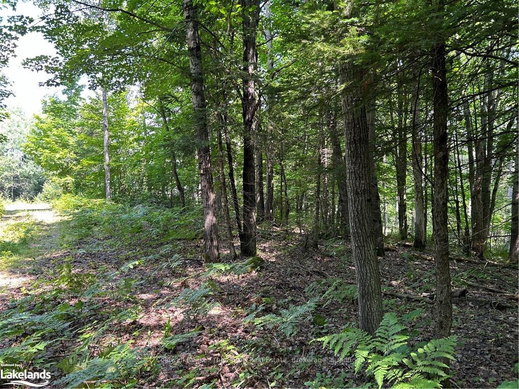 Photo 1 of LOT 22 Frank Street, Magnetawan — HOMEH
