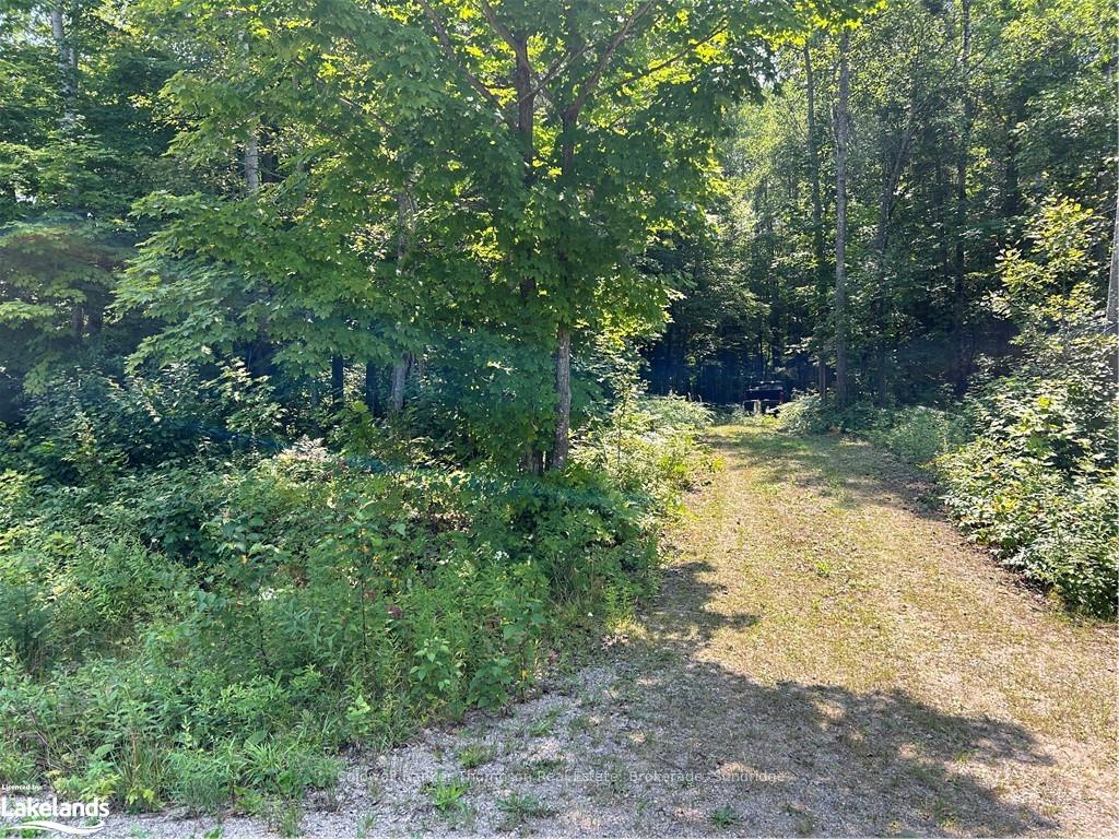 Photo 2 of LOT 22 Frank Street, Magnetawan — HOMEH