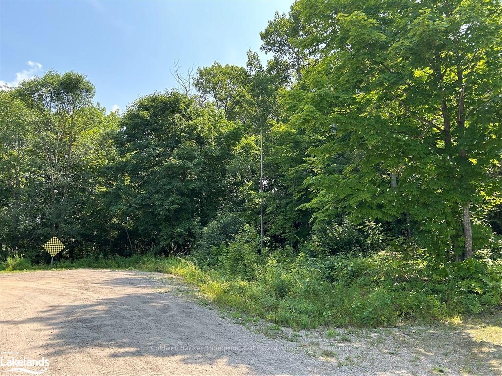 Photo 7 of LOT 22 Frank Street, Magnetawan — HOMEH