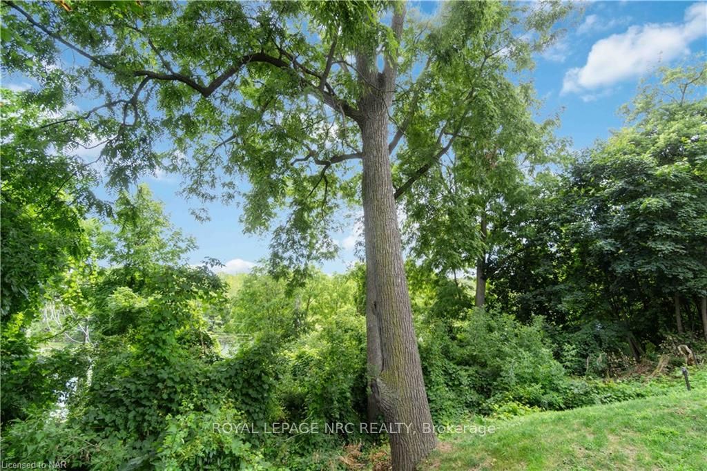 Photo 27 of 18 Rose Street, St. Catharines, Grapeview — HOMEH