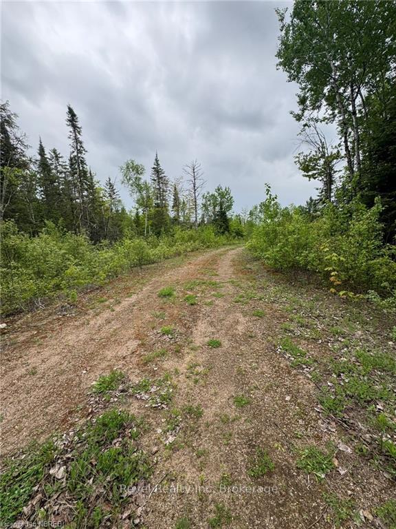 Photo 3 of 4155 Highway 17, Papineau-Cameron, Papineau Cameron — HOMEH