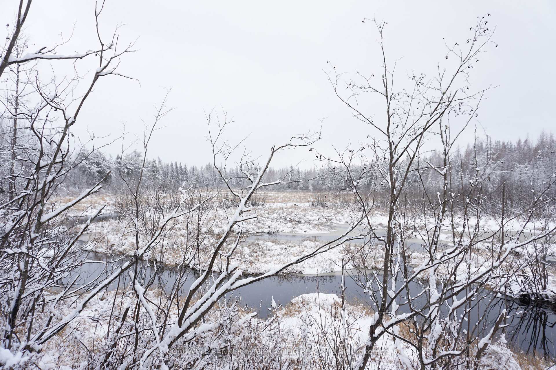Photo 12 of LT10 C1 Highway 560, Englehart, Central Timiskaming — HOMEH