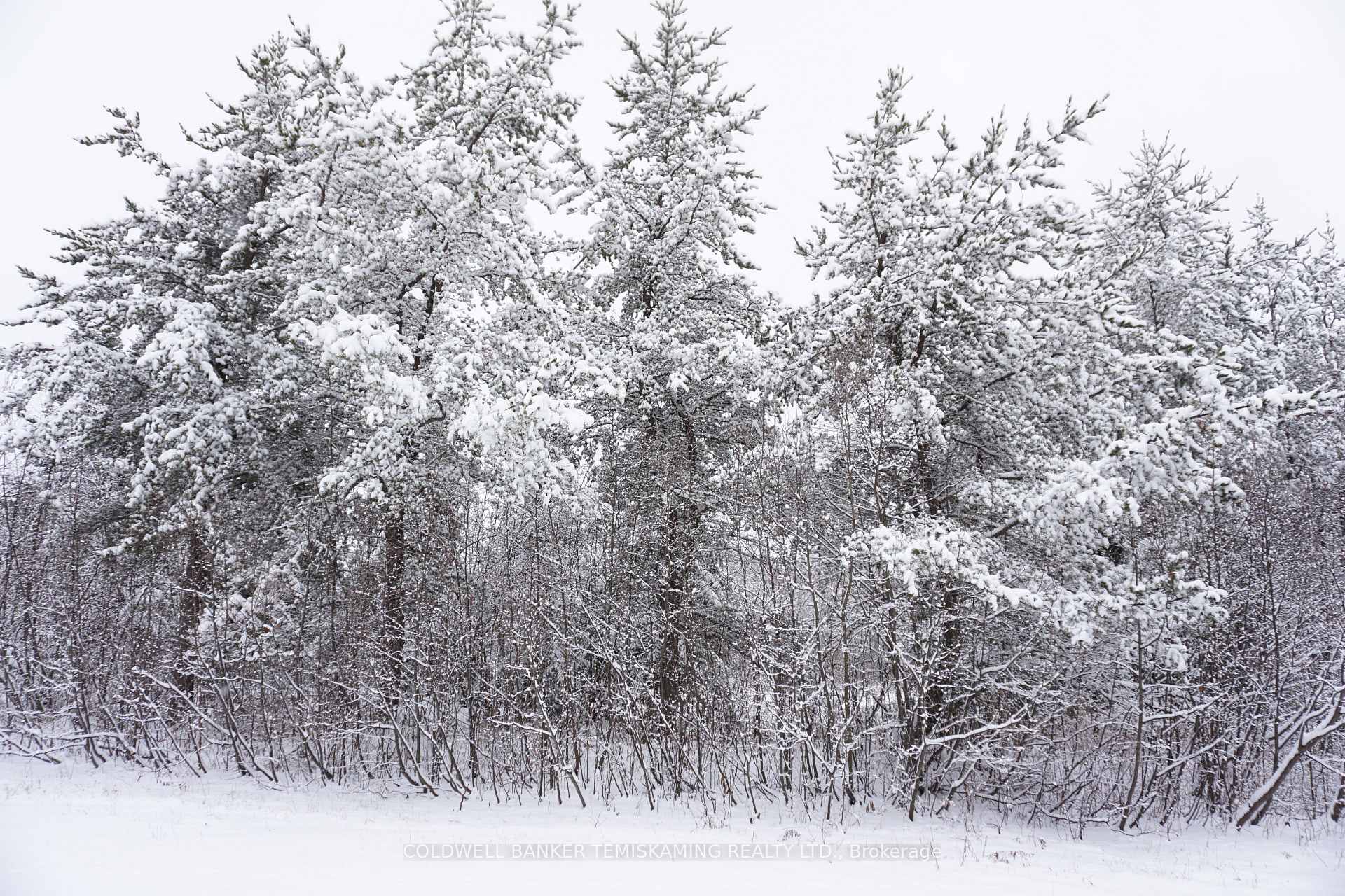 Photo 14 of LT10 C1 Highway 560, Englehart, Central Timiskaming — HOMEH