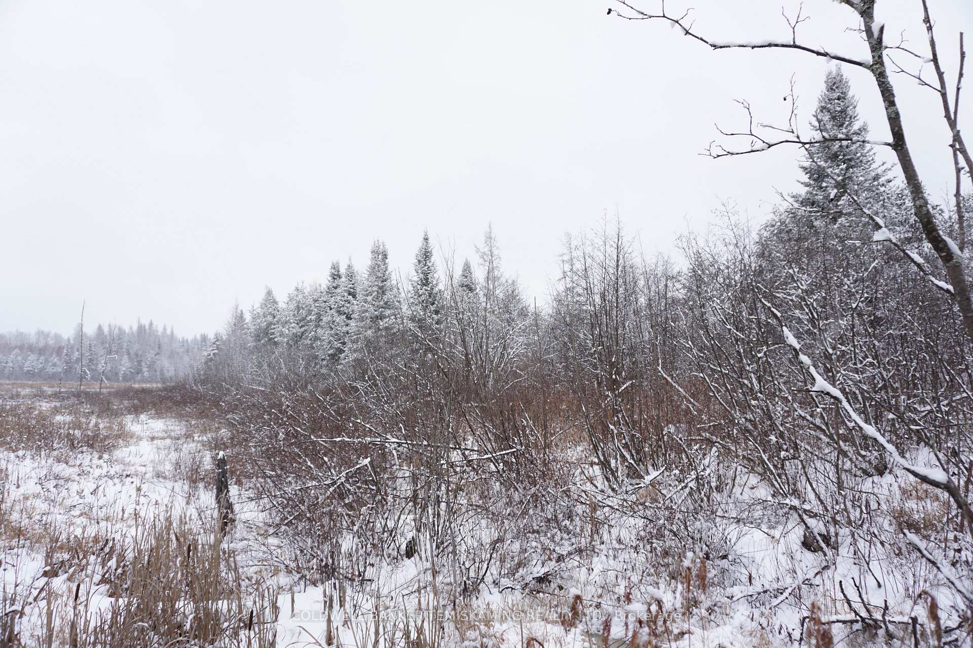 Photo 16 of LT10 C1 Highway 560, Englehart, Central Timiskaming — HOMEH