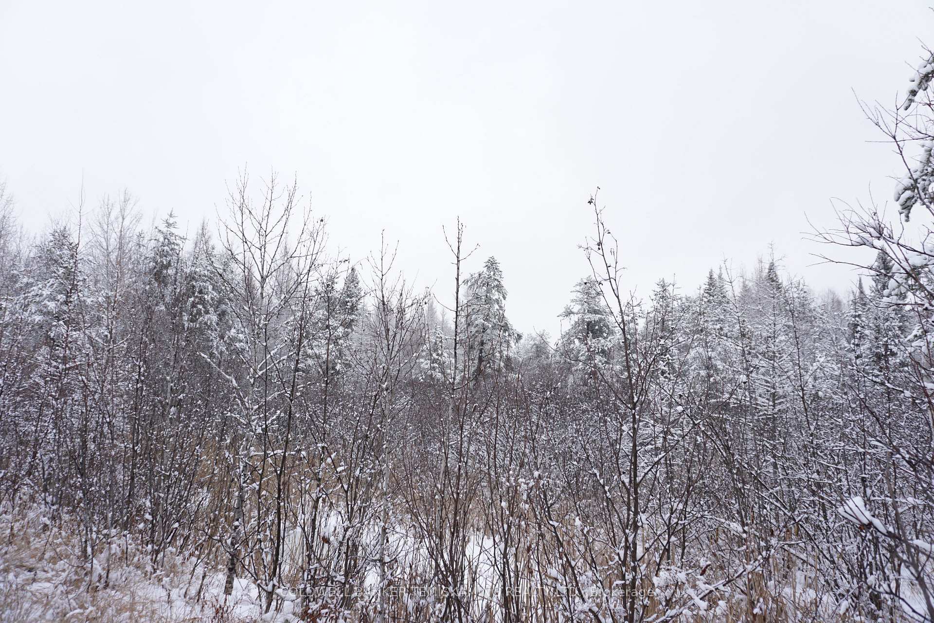 Photo 21 of LT10 C1 Highway 560, Englehart, Central Timiskaming — HOMEH