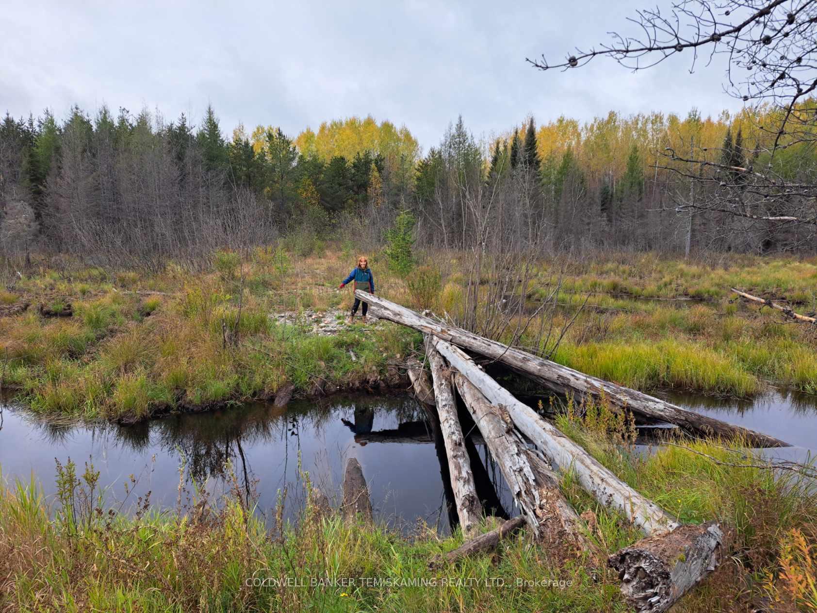 Photo 27 of LT10 C1 Highway 560, Englehart, Central Timiskaming — HOMEH