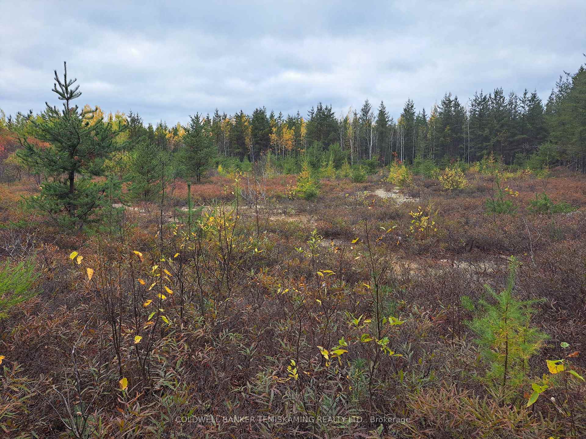 Photo 28 of LT10 C1 Highway 560, Englehart, Central Timiskaming — HOMEH