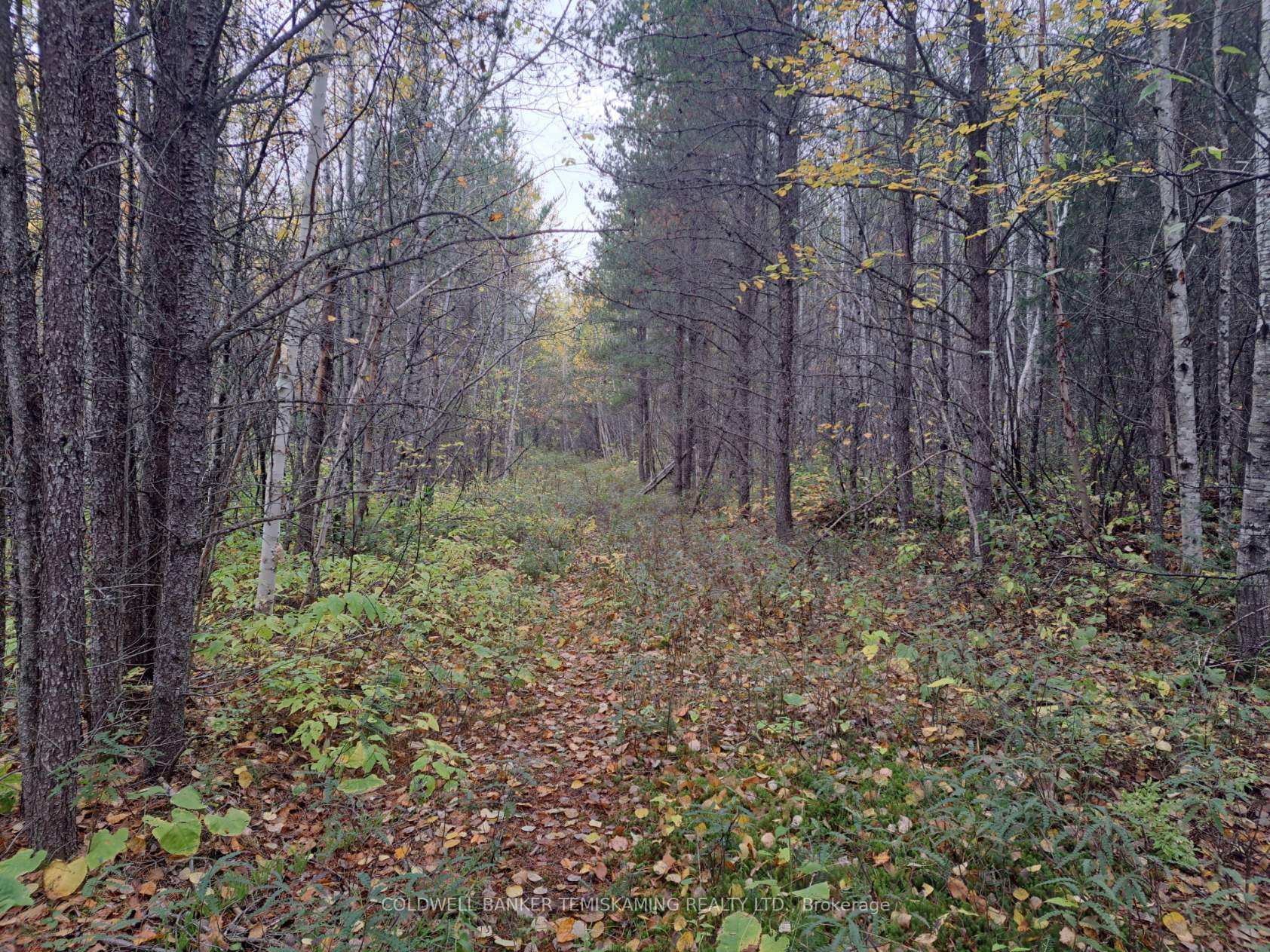 Photo 29 of LT10 C1 Highway 560, Englehart, Central Timiskaming — HOMEH