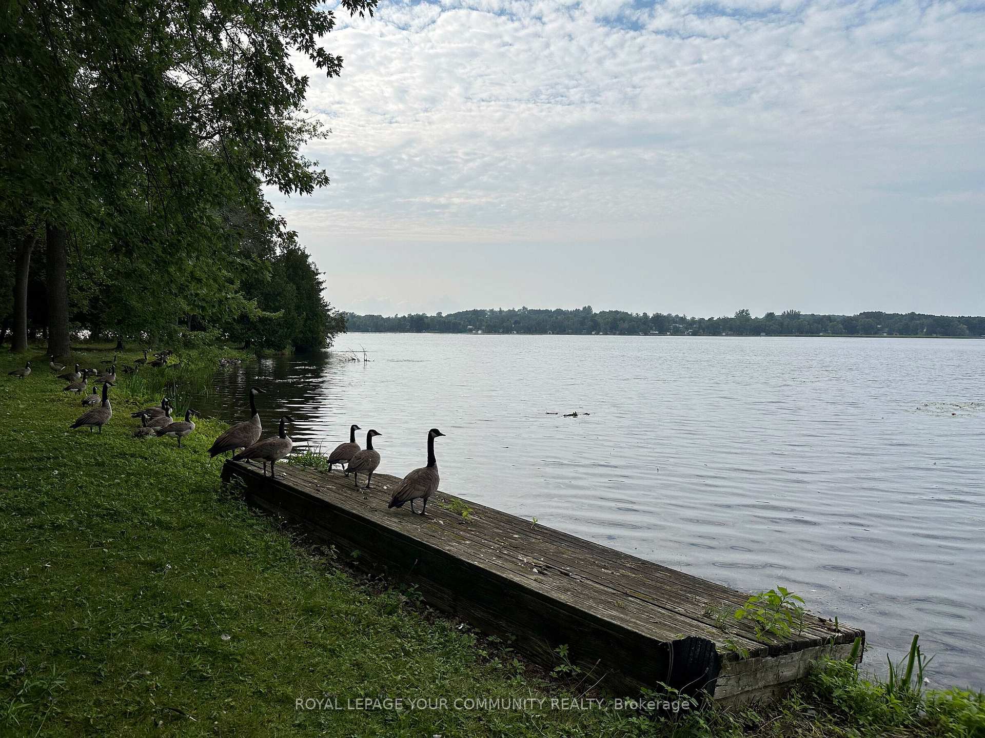 Photo 12 of 16 Englewood Lane, Douro-Dummer — HOMEH