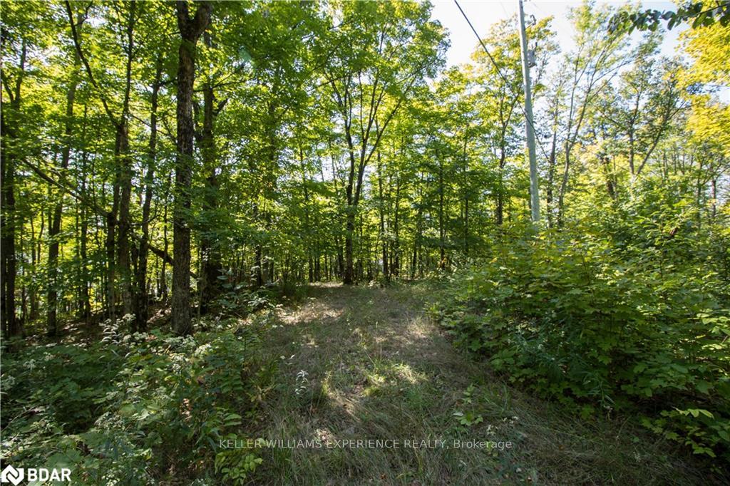 Photo 17 of 56 Dauncy Road, Magnetawan, Spence — HOMEH