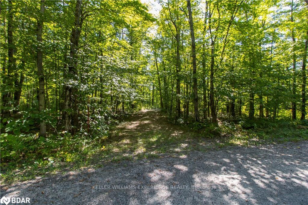 Photo 18 of 56 Dauncy Road, Magnetawan, Spence — HOMEH