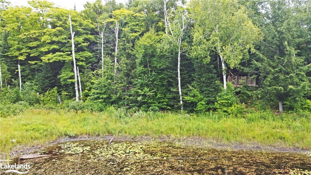 Photo 14 of 1 Cornflower Road, McDougall — HOMEH