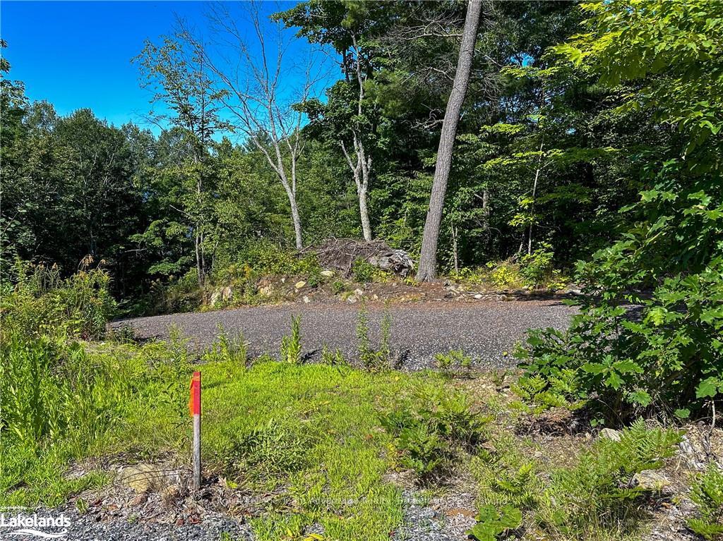 Photo 24 of 59 Mill, McDougall — HOMEH