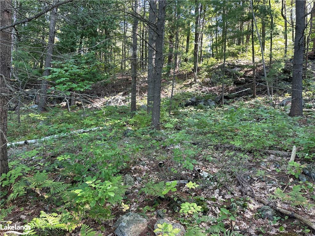 Photo 30 of 59 Mill, McDougall — HOMEH