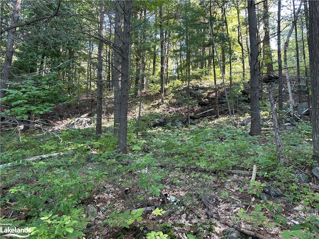 Photo 31 of 59 Mill, McDougall — HOMEH