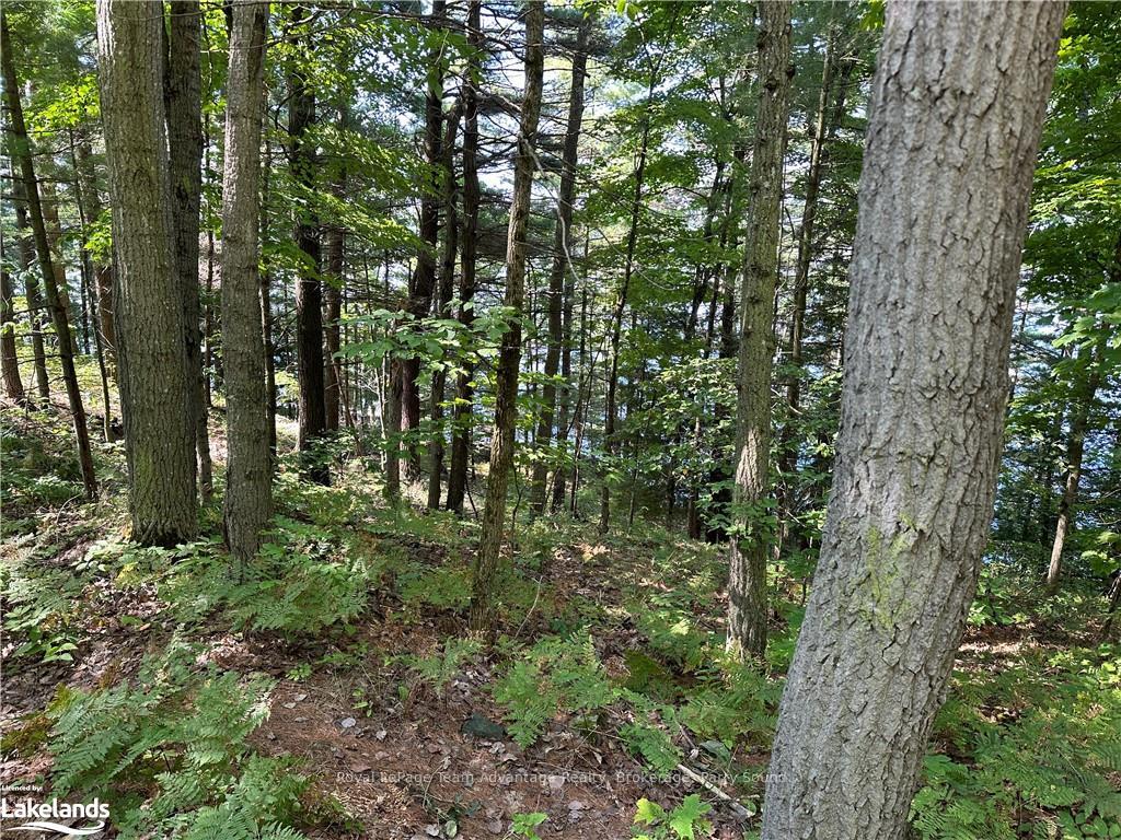 Photo 33 of 59 Mill, McDougall — HOMEH