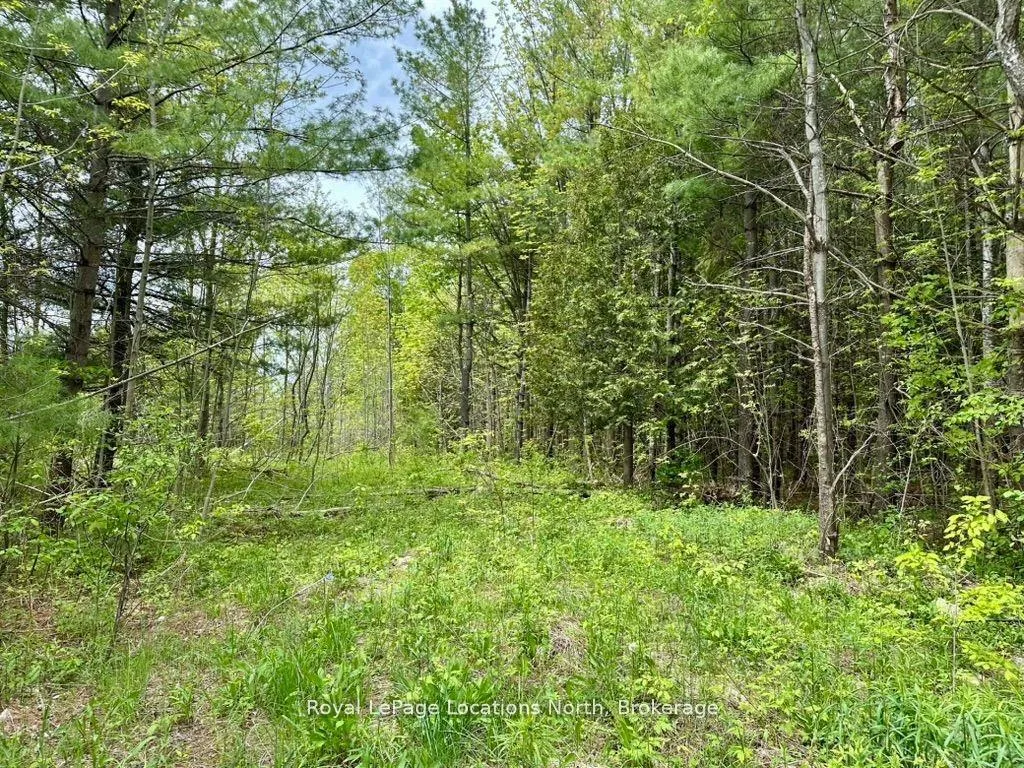 Photo 7 of 777215 Highway 10, Chatsworth — HOMEH
