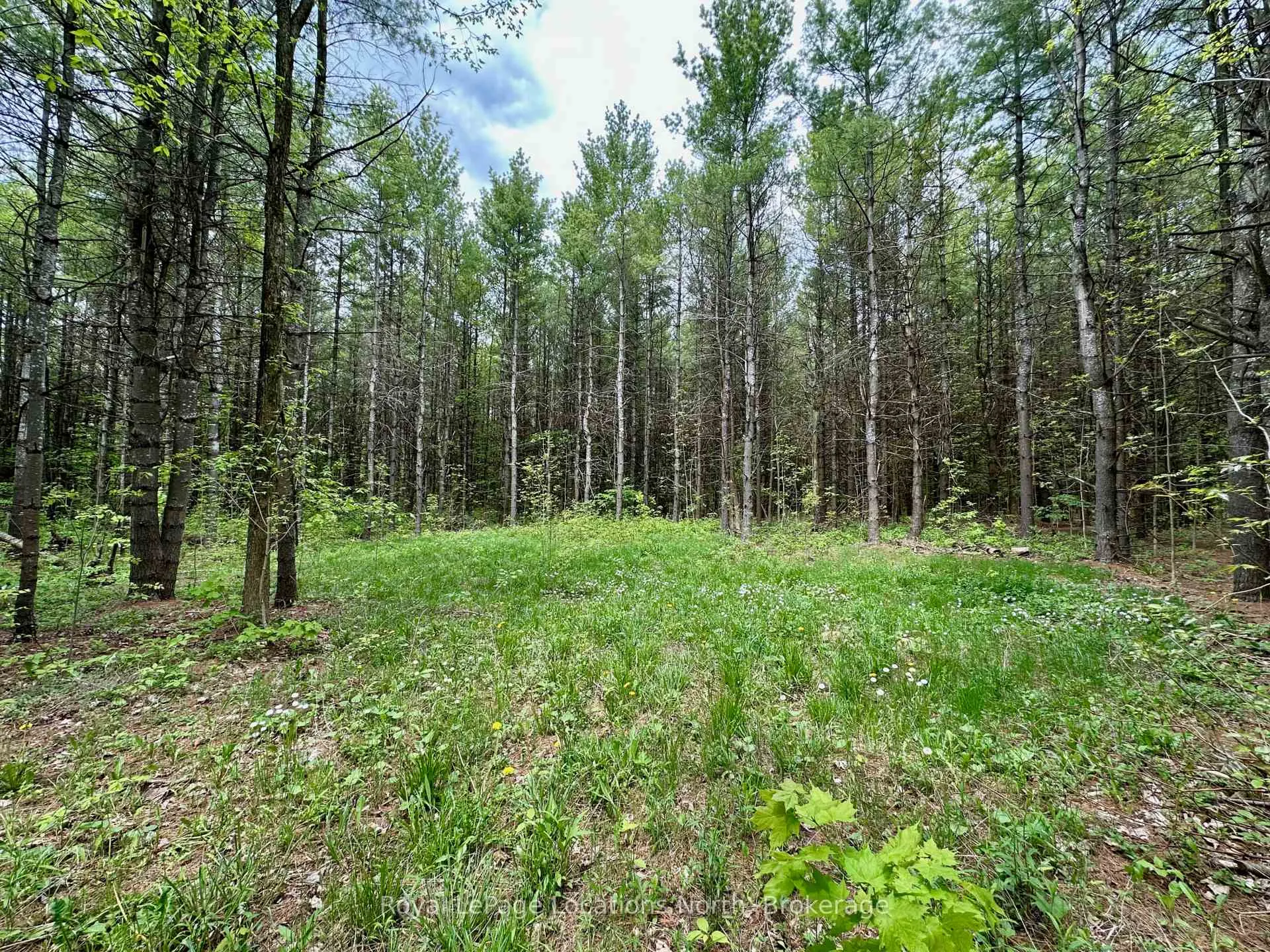 Photo 10 of 777215 Highway 10, Chatsworth — HOMEH