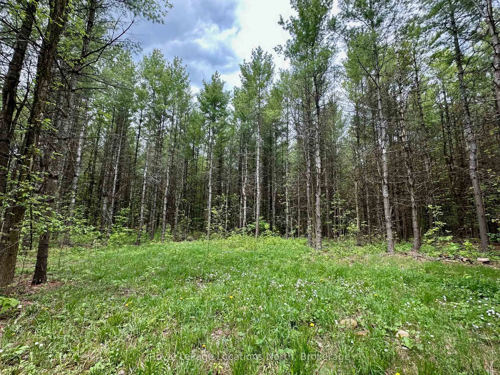 Photo 11 of 777215 Highway 10, Chatsworth — HOMEH