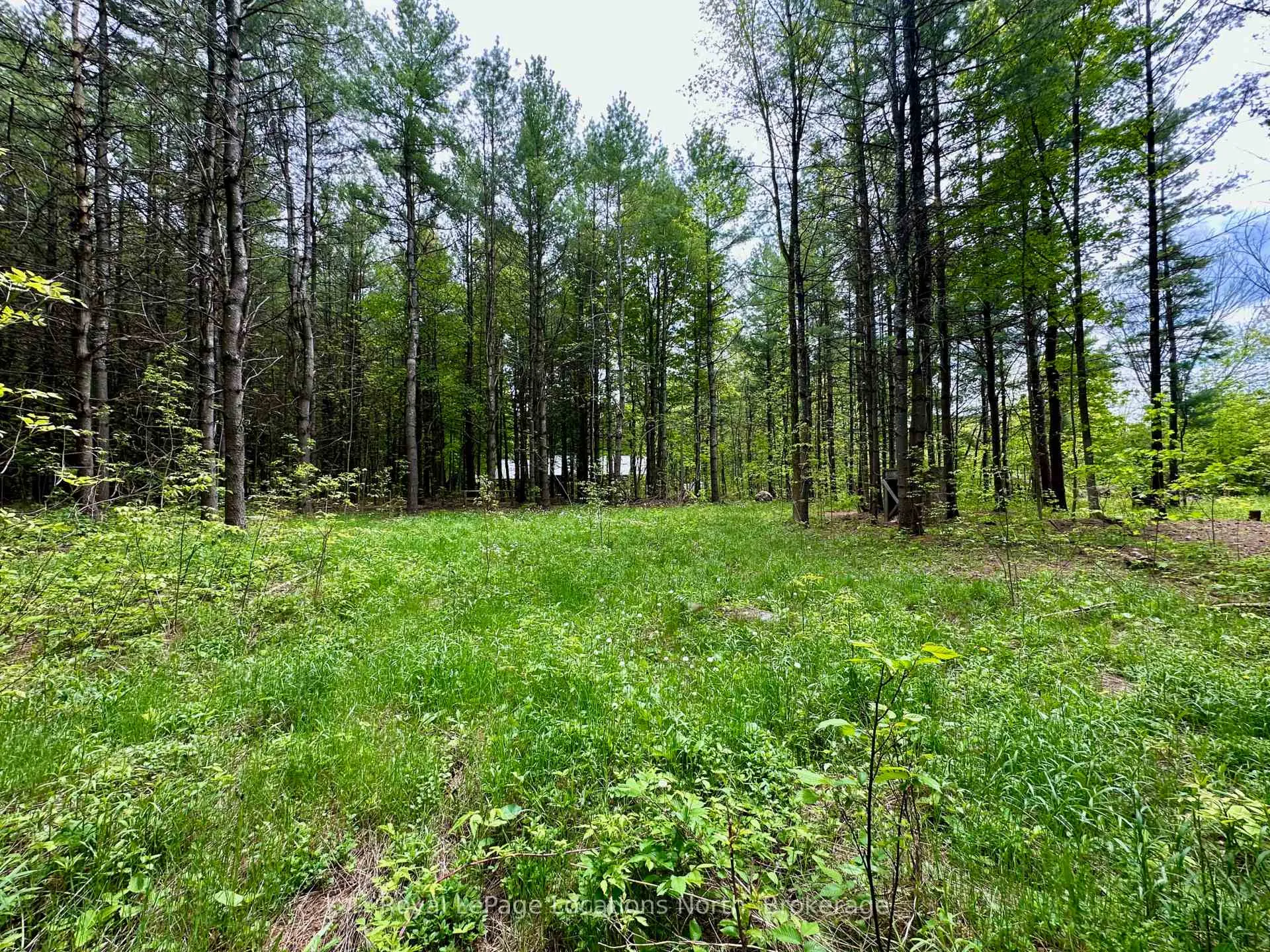 Photo 13 of 777215 Highway 10, Chatsworth — HOMEH