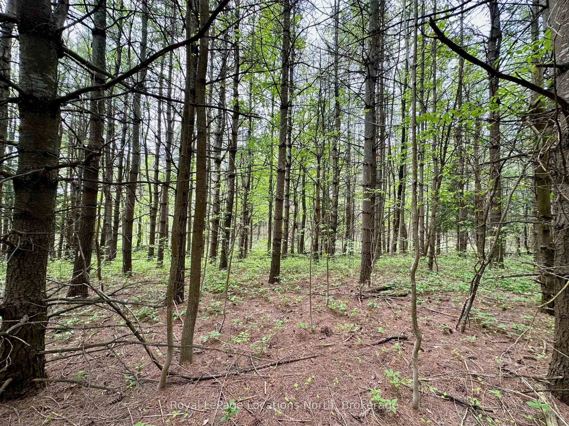 Photo 16 of 777215 Highway 10, Chatsworth — HOMEH
