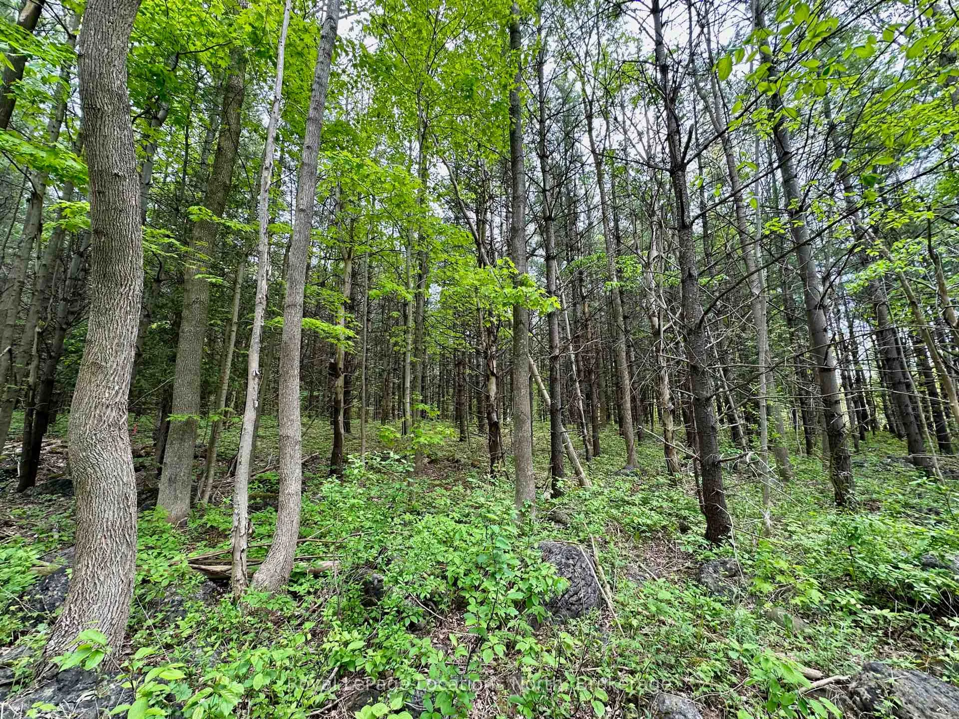 Photo 19 of 777215 Highway 10, Chatsworth — HOMEH