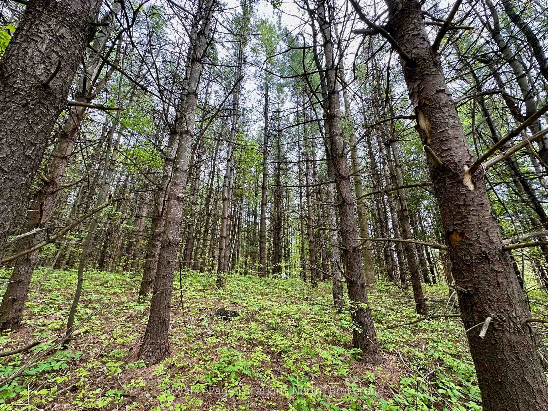 Photo 20 of 777215 Highway 10, Chatsworth — HOMEH