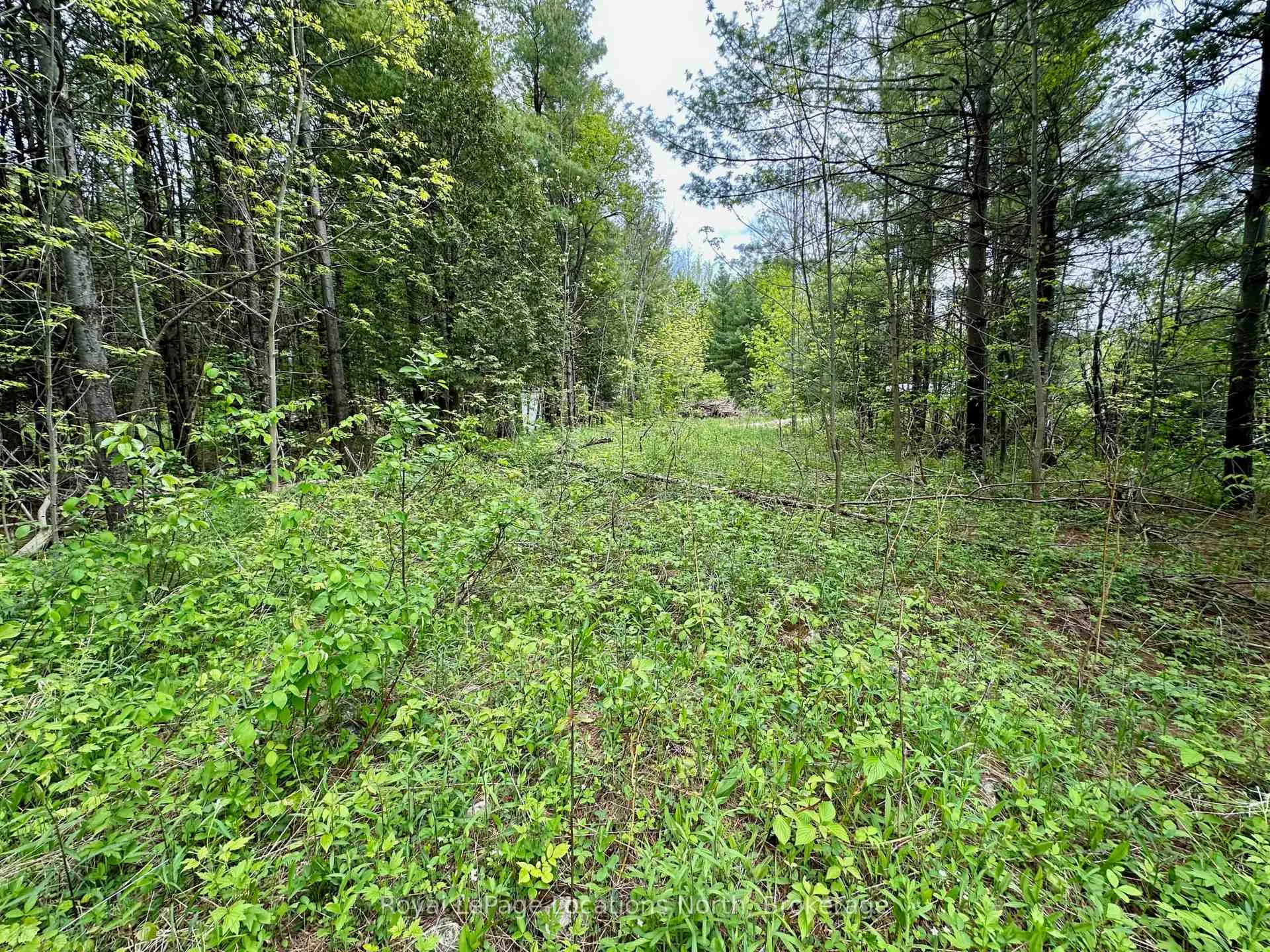 Photo 21 of 777215 Highway 10, Chatsworth — HOMEH