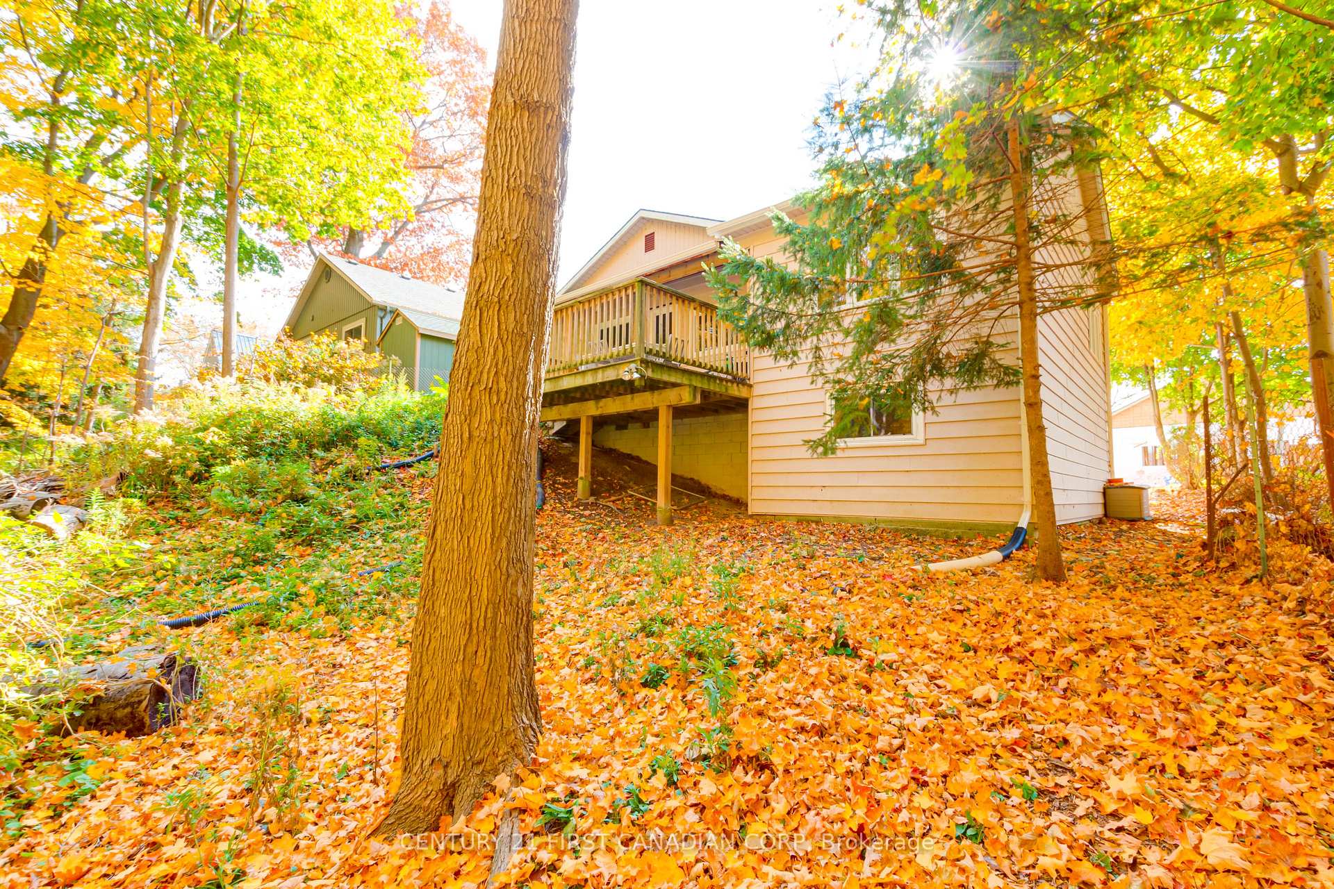Photo 49 of 161 Brayside Street, Central Elgin, Rural Central Elgin — HOMEH