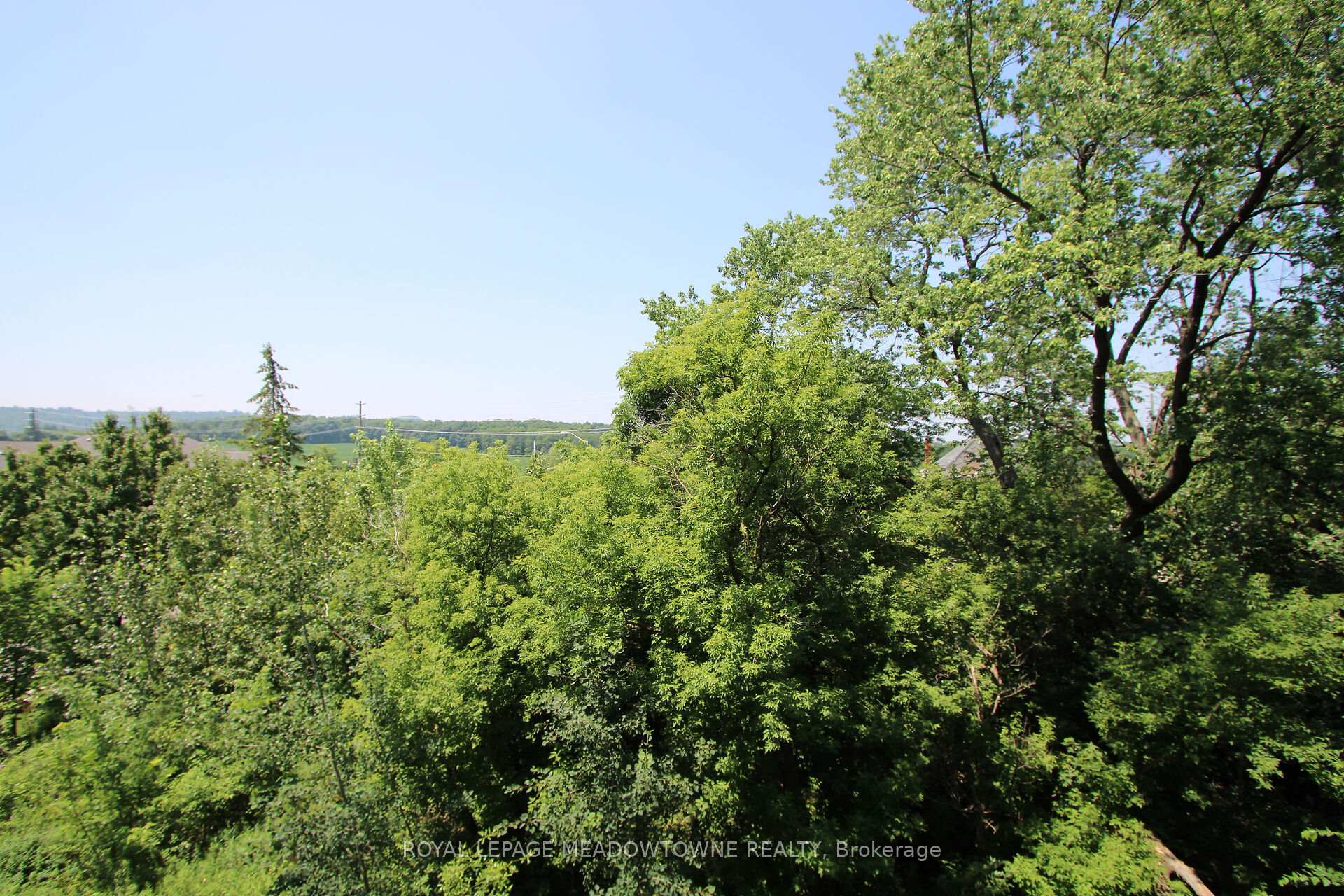 Photo 14 of Unit 318, 33 Whitmer Street, Milton, Scott — HOMEH