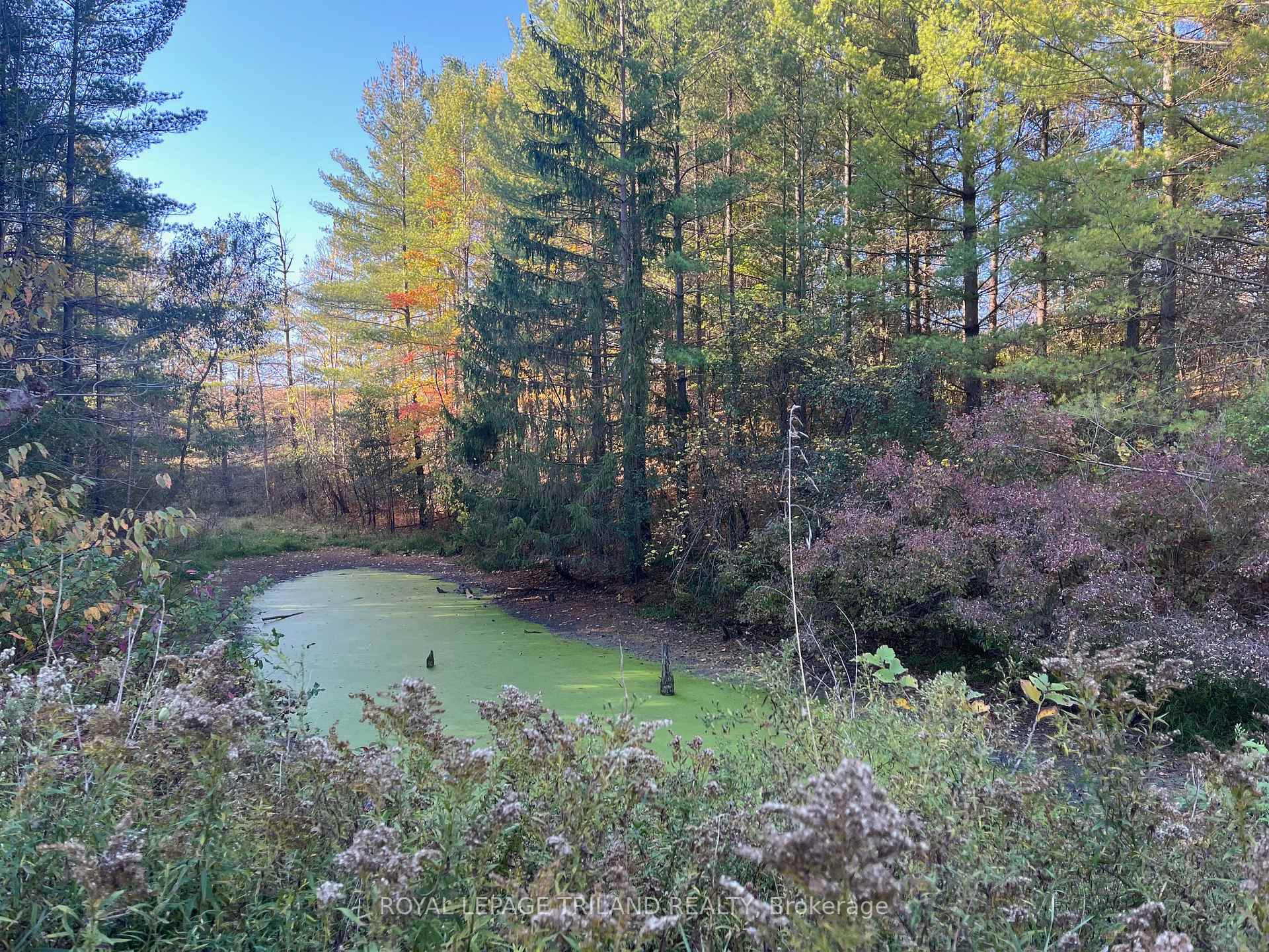 Photo 9 of 32896 Chalmers Line, Dutton/Dunwich, Iona — HOMEH
