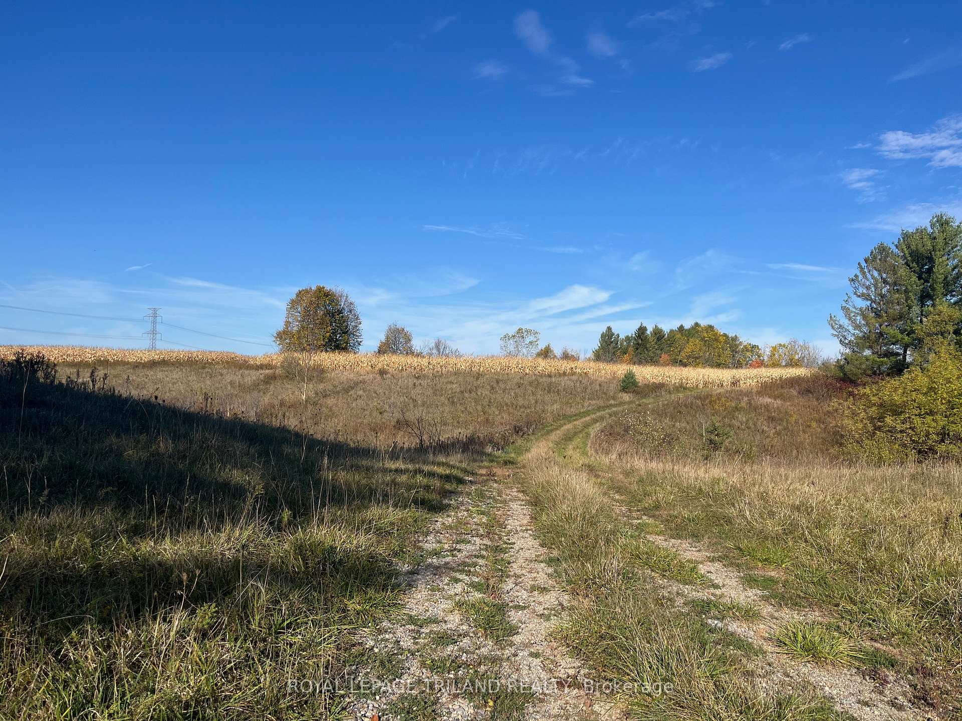 Photo 14 of 32896 Chalmers Line, Dutton/Dunwich, Iona — HOMEH