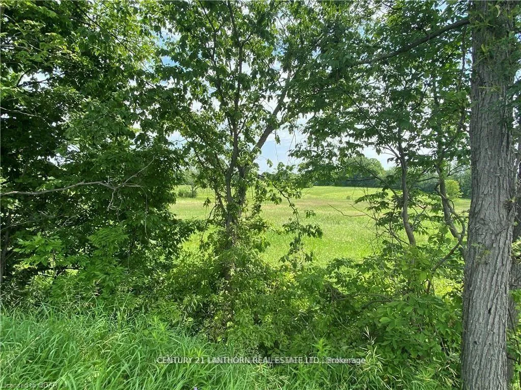 Photo 7 of Hwy 62, Centre Hastings — HOMEH