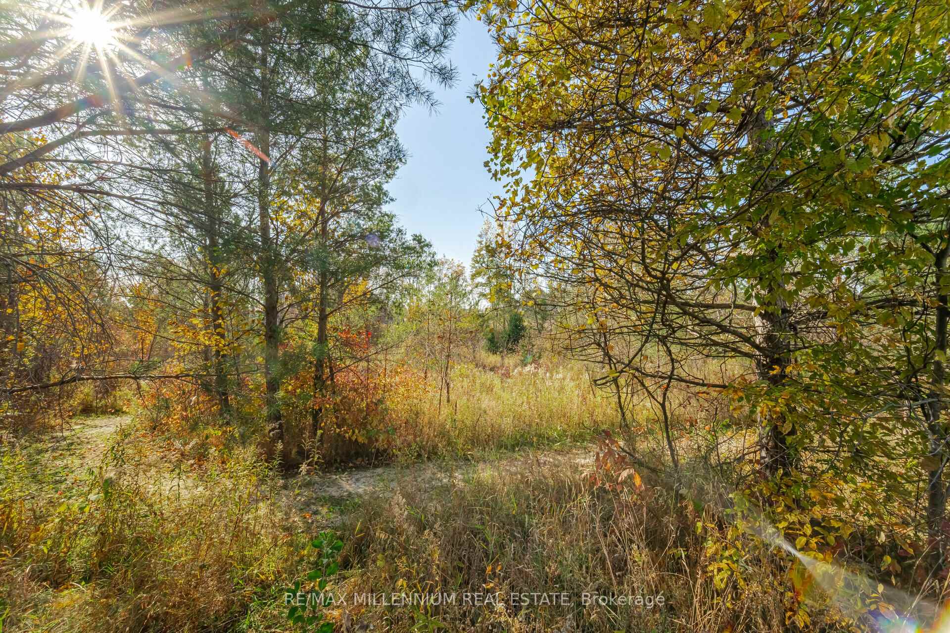 Photo 39 of 200 Lia Drive, Clearview, Stayner — HOMEH
