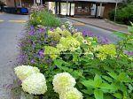 Photo 29 of Unit 1914, 1 Massey Square, Toronto, Crescent Town — HOMEH